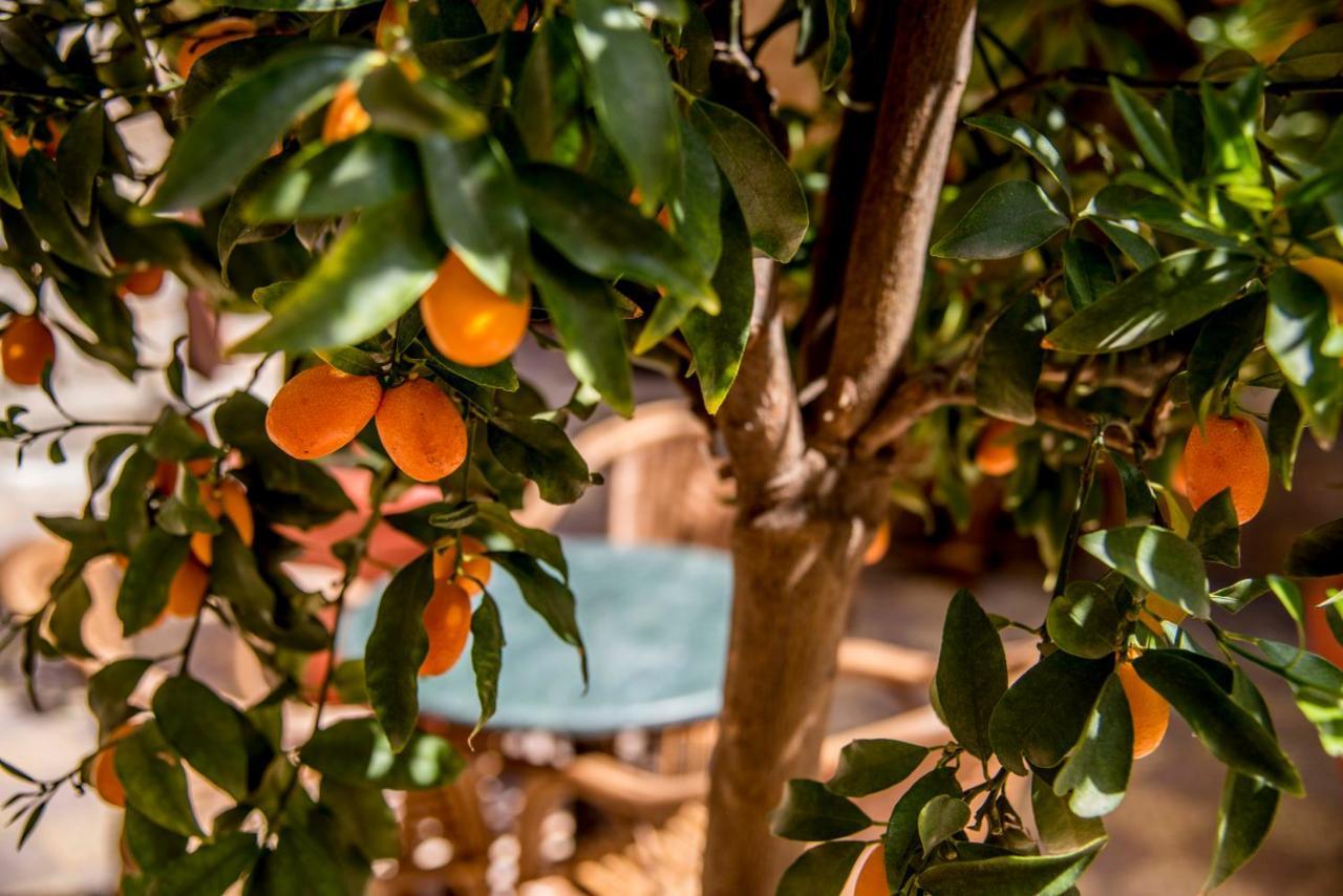 Bed and Breakfast Dar Camelia Tyros Exterior foto