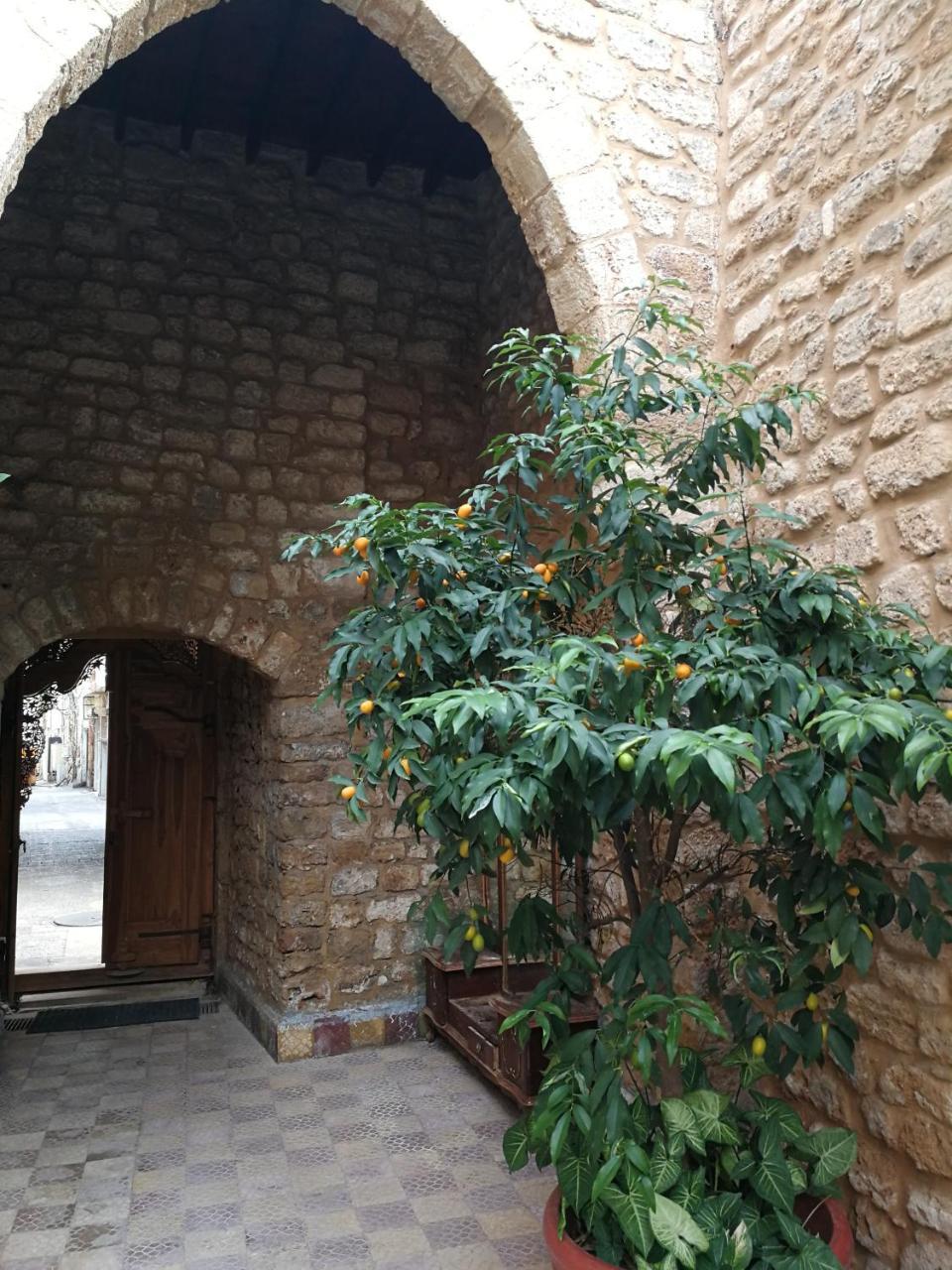 Bed and Breakfast Dar Camelia Tyros Exterior foto